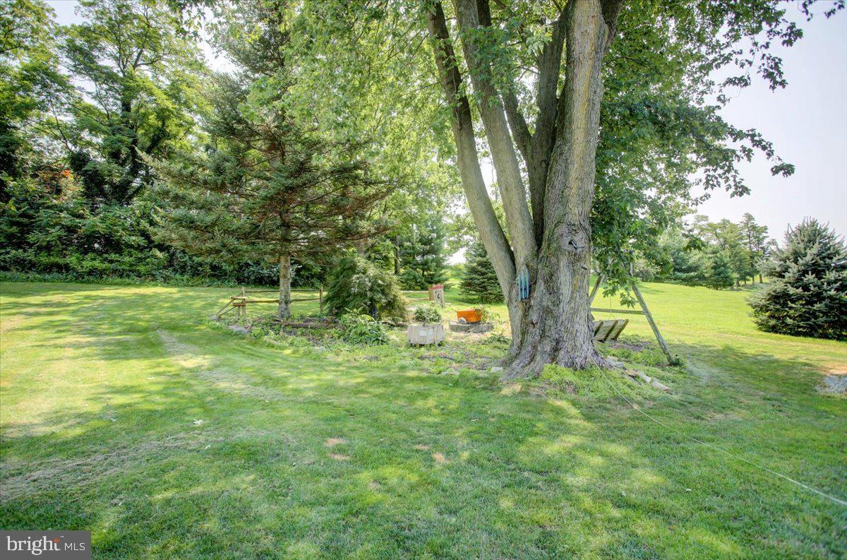 8582 Rice Road Shippensburg, PA 17257 - Photo 29 of 41 a view of a field with a tree