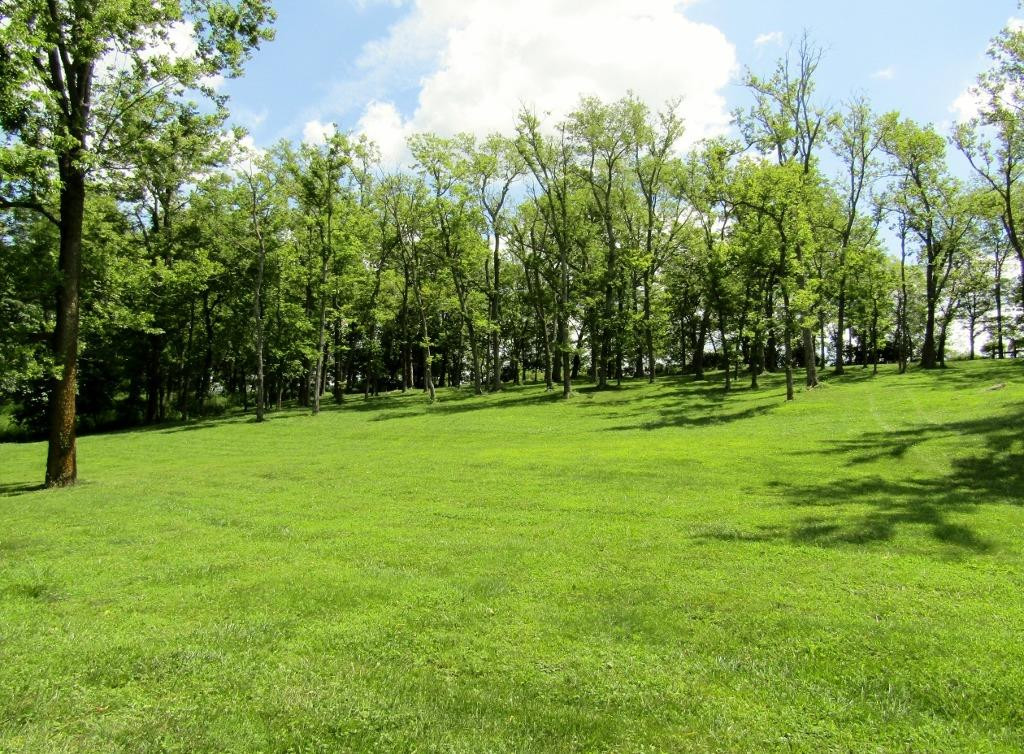580 Perry Rogers Road Lancaster, KY 40444 - Photo 5 of 37 Photo 5