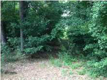 3758 Midway Road Carthage, MS 39051 - Photo 2 of 6 Photo 2