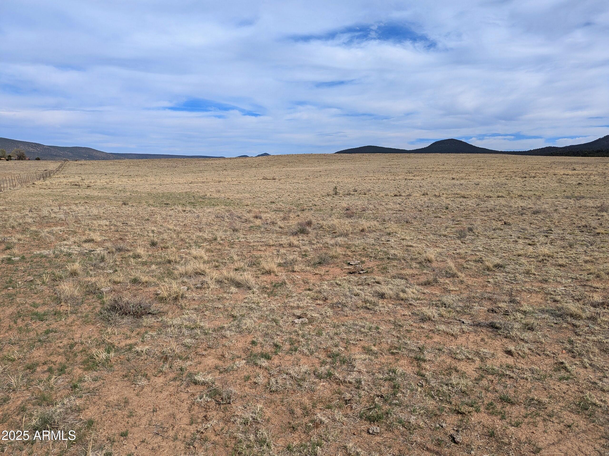 PXL_20250412_221112763~2