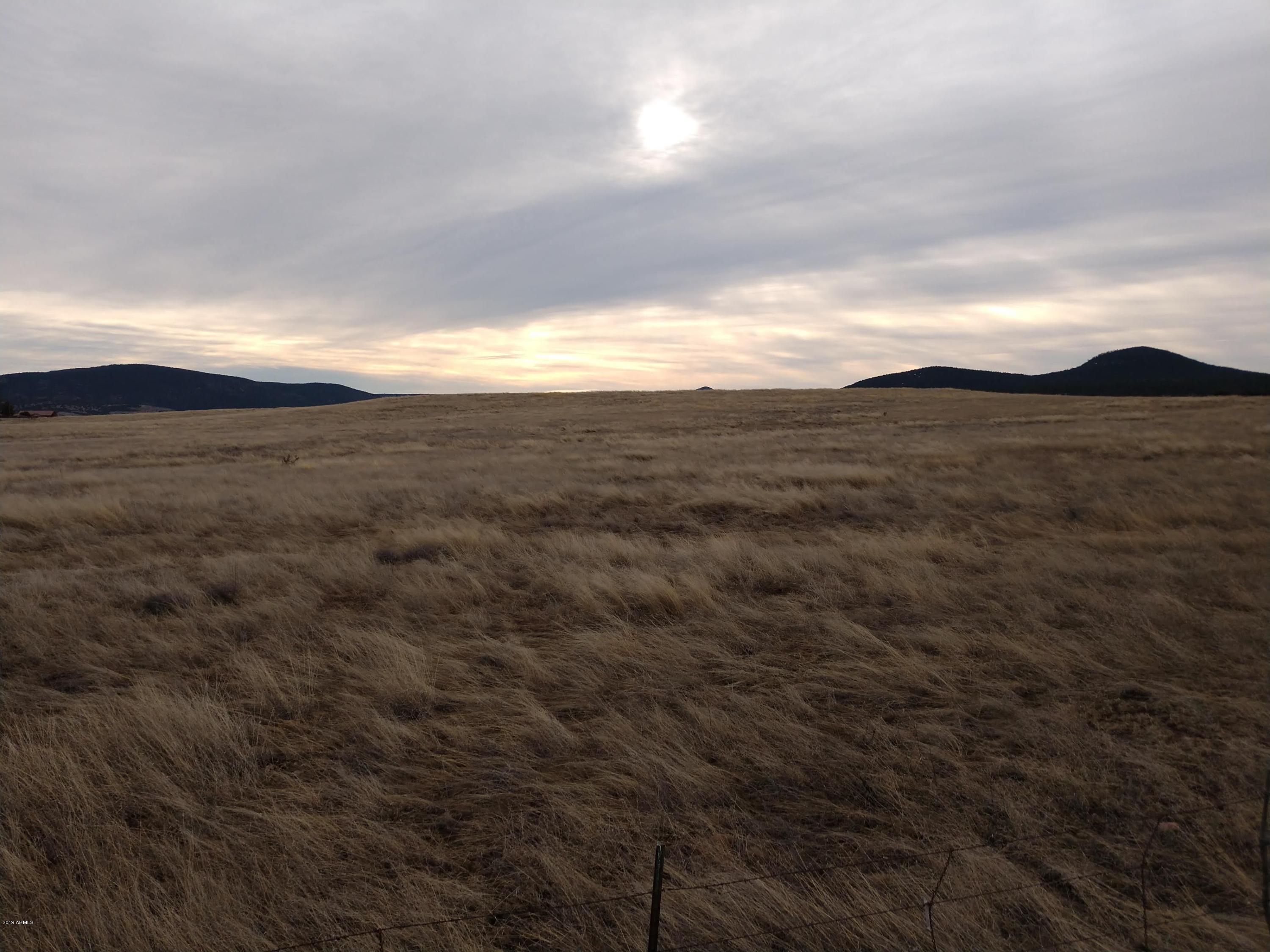 349 Zachariae Ranch Road, Unit 1 Young, AZ 85554 - Photo 3 of 3 IMG_20190307_081000609