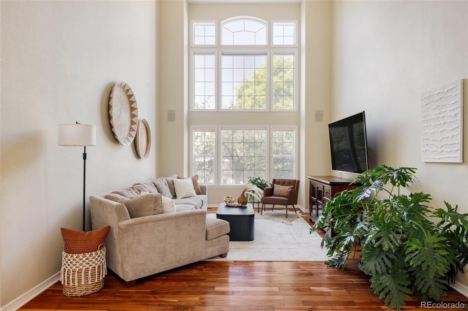 1347 Pine View Road Golden, CO 80403 - Photo 8 of 50 a living room with furniture floor to ceiling window and wooden floor