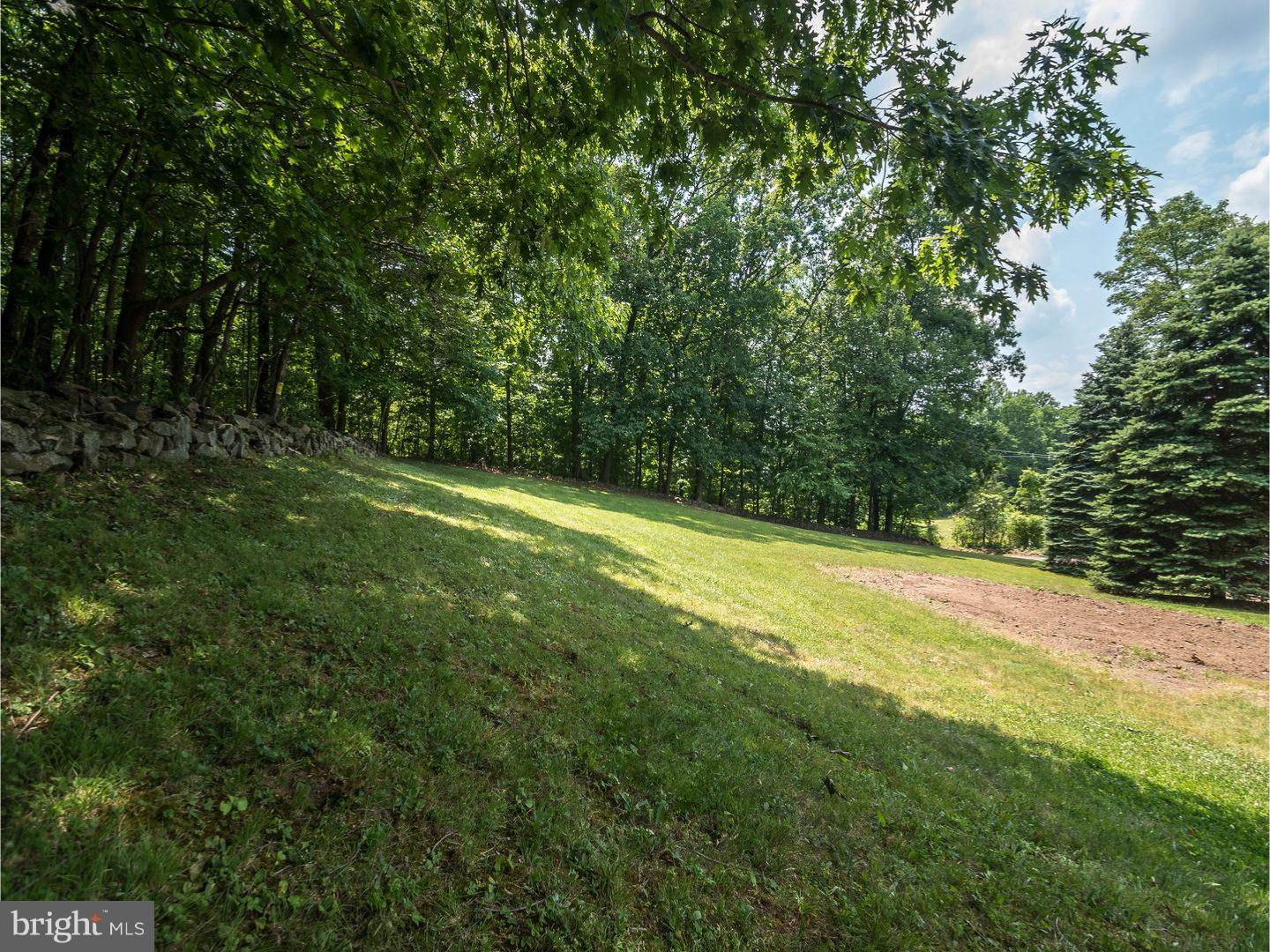 452 Erb Road Perkiomenville, PA 18074 - Photo 24 of 24 Side Yard