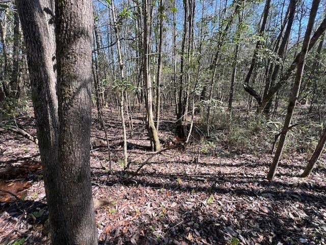 31272 Highway 331 Opp, AL 36467 - Photo 34 of 50 Gallery Image 34