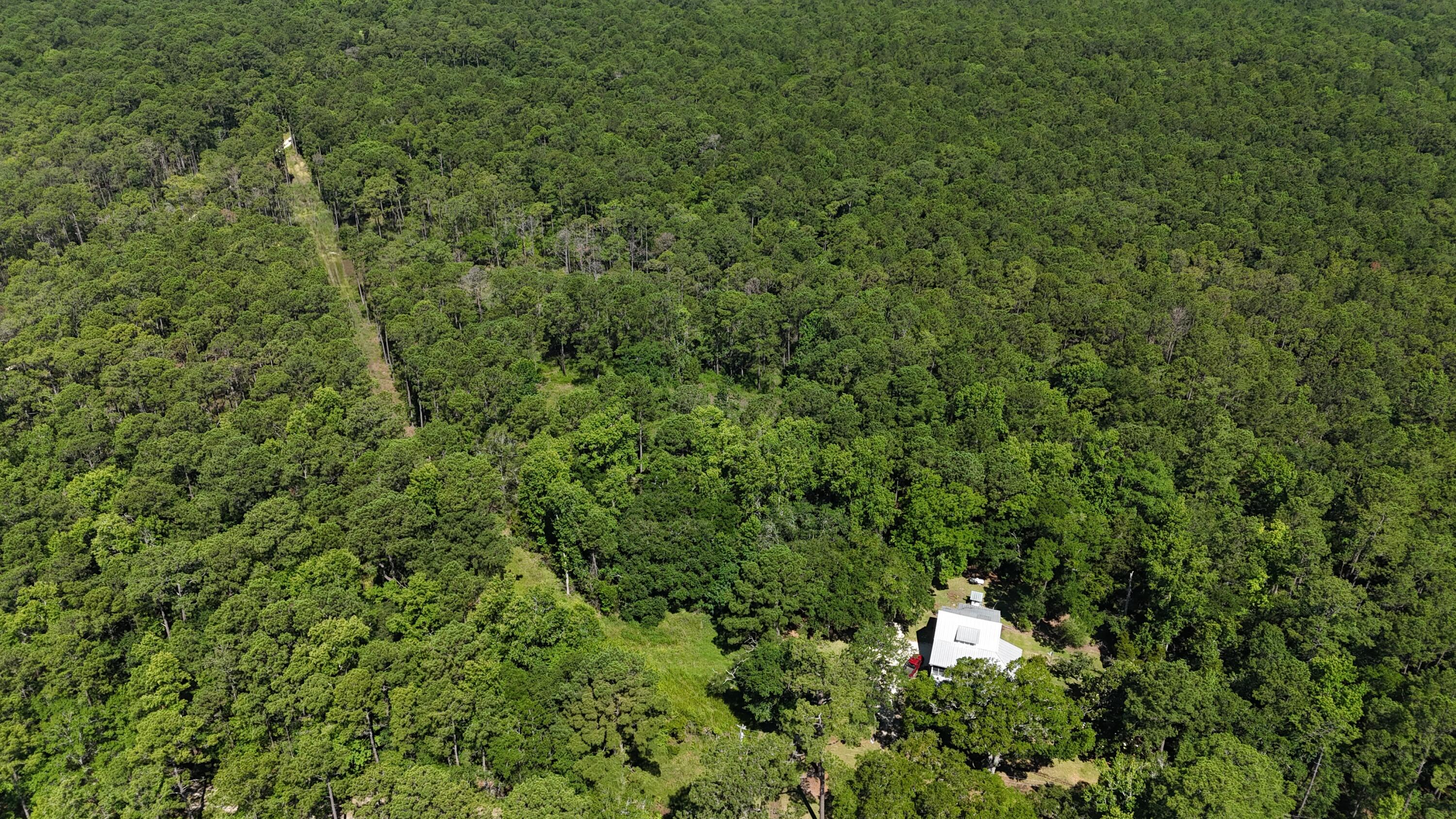 1319 Dupre Road McClellanville, SC 29458 - Photo 4 of 6 pattys house 2