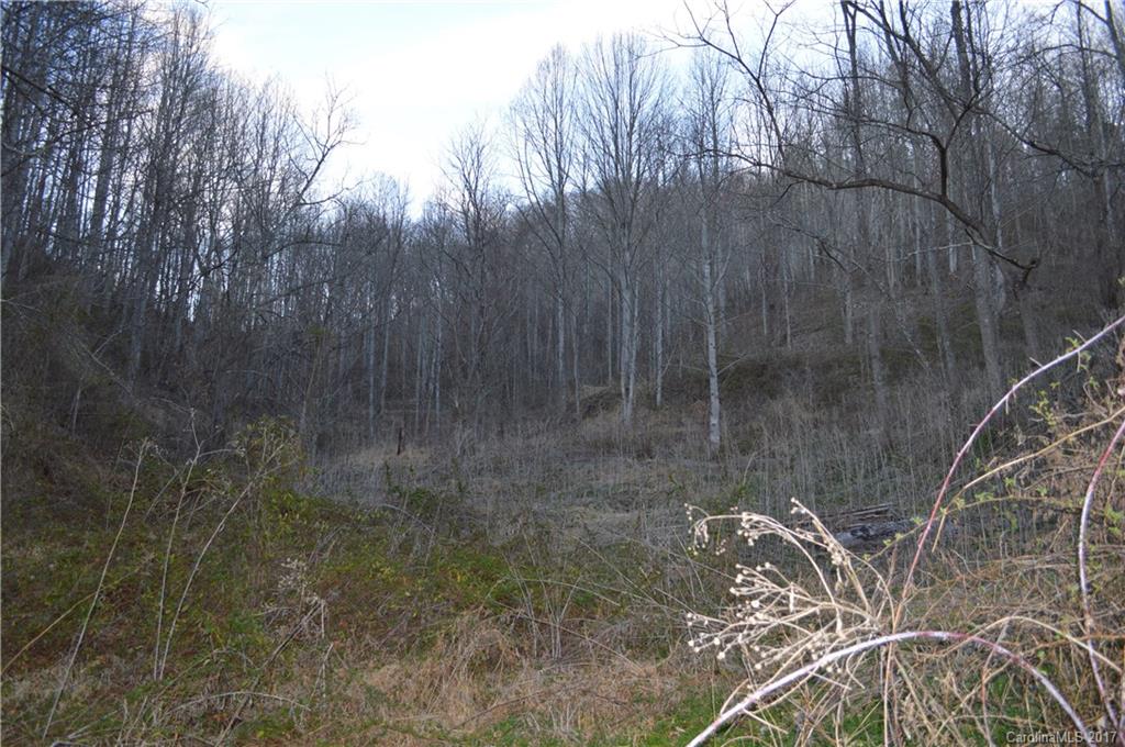 611 Wilson Cove Road Canton, NC 28716 - Photo 1 of 17 a view of a yard