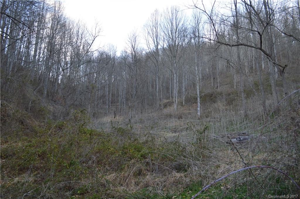 611 Wilson Cove Road Canton, NC 28716 - Photo 2 of 17 a view of a dry yard with trees