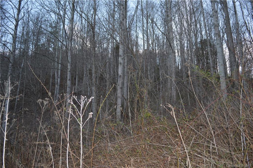 611 Wilson Cove Road Canton, NC 28716 - Photo 4 of 17 a view of a backyard