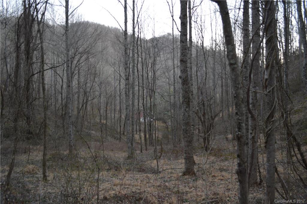 611 Wilson Cove Road Canton, NC 28716 - Photo 7 of 17 a view of a forest