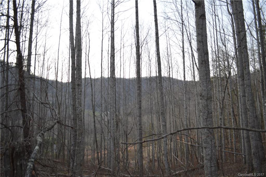 611 Wilson Cove Road Canton, NC 28716 - Photo 10 of 17 a view of outdoor space with wooden fence