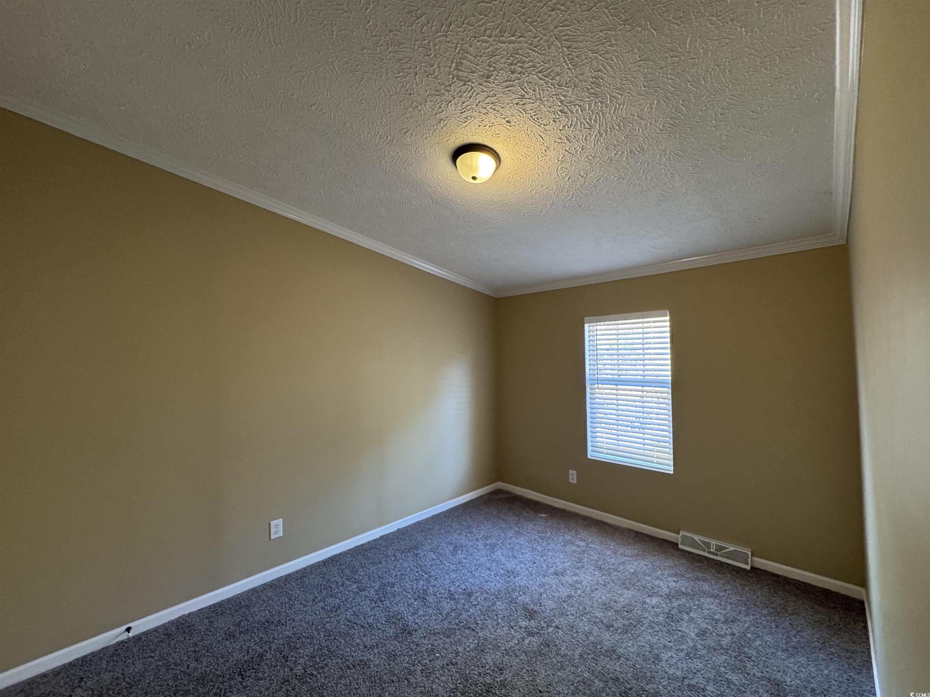 4092 Still Pond Road Conway, SC 29526 - Photo 33 of 39 Spare room featuring crown molding, carpet floorin