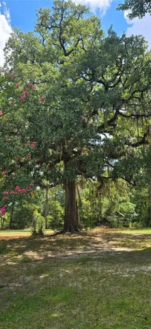 a view of a yard with a tree