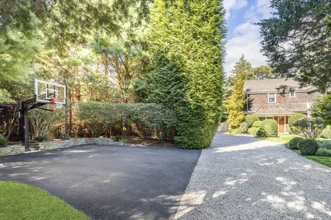 a view of a road with plants and large trees