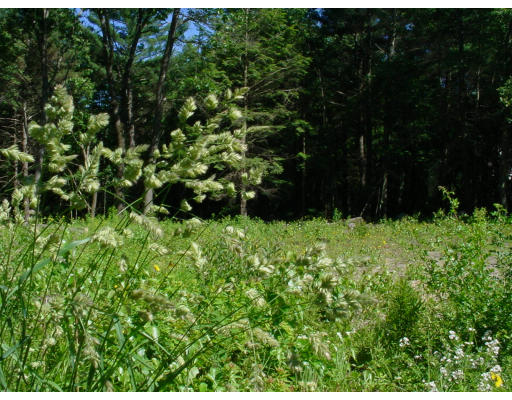 180 Dana Road Orange, MA 01364 - Photo 1 of 1