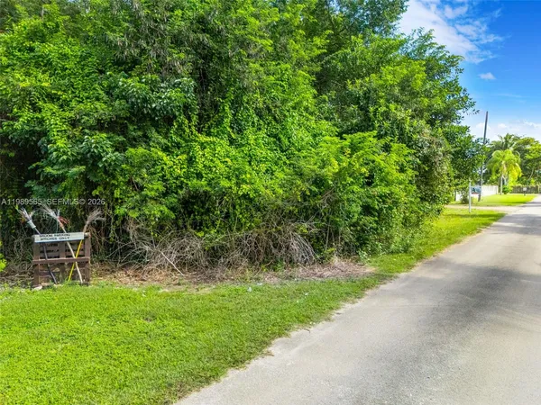 a view of a yard with a bench