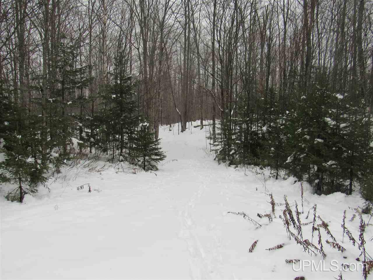 Tbd Johnson Creek Road Chatham, MI 49816 - Photo 27 of 28 Gallery Image 27