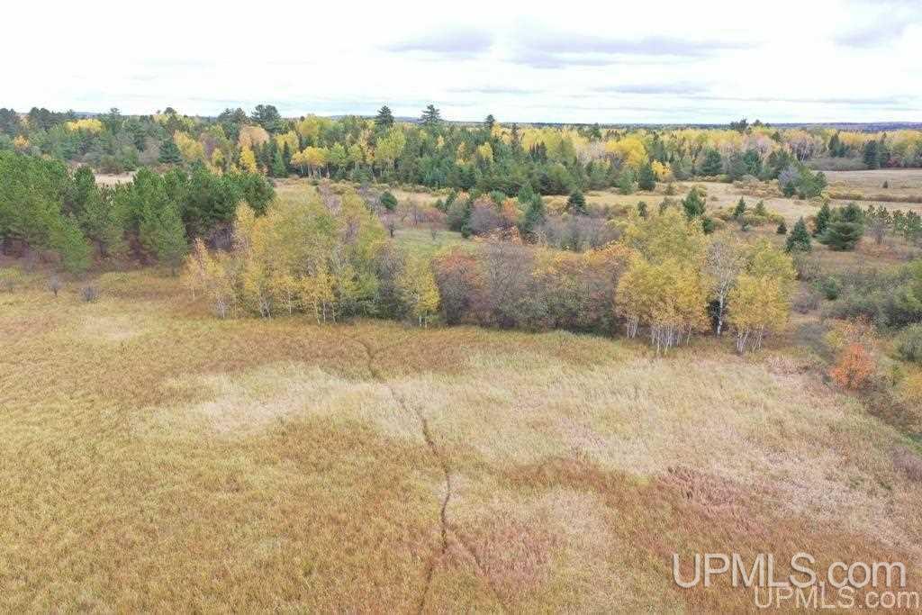 Tbd South County Line Road Watersmeet, MI 49969 - Photo 5 of 16
