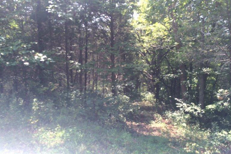 0 Ivor Road California, KY 41007 - Photo 9 of 11 Gallery Image 9