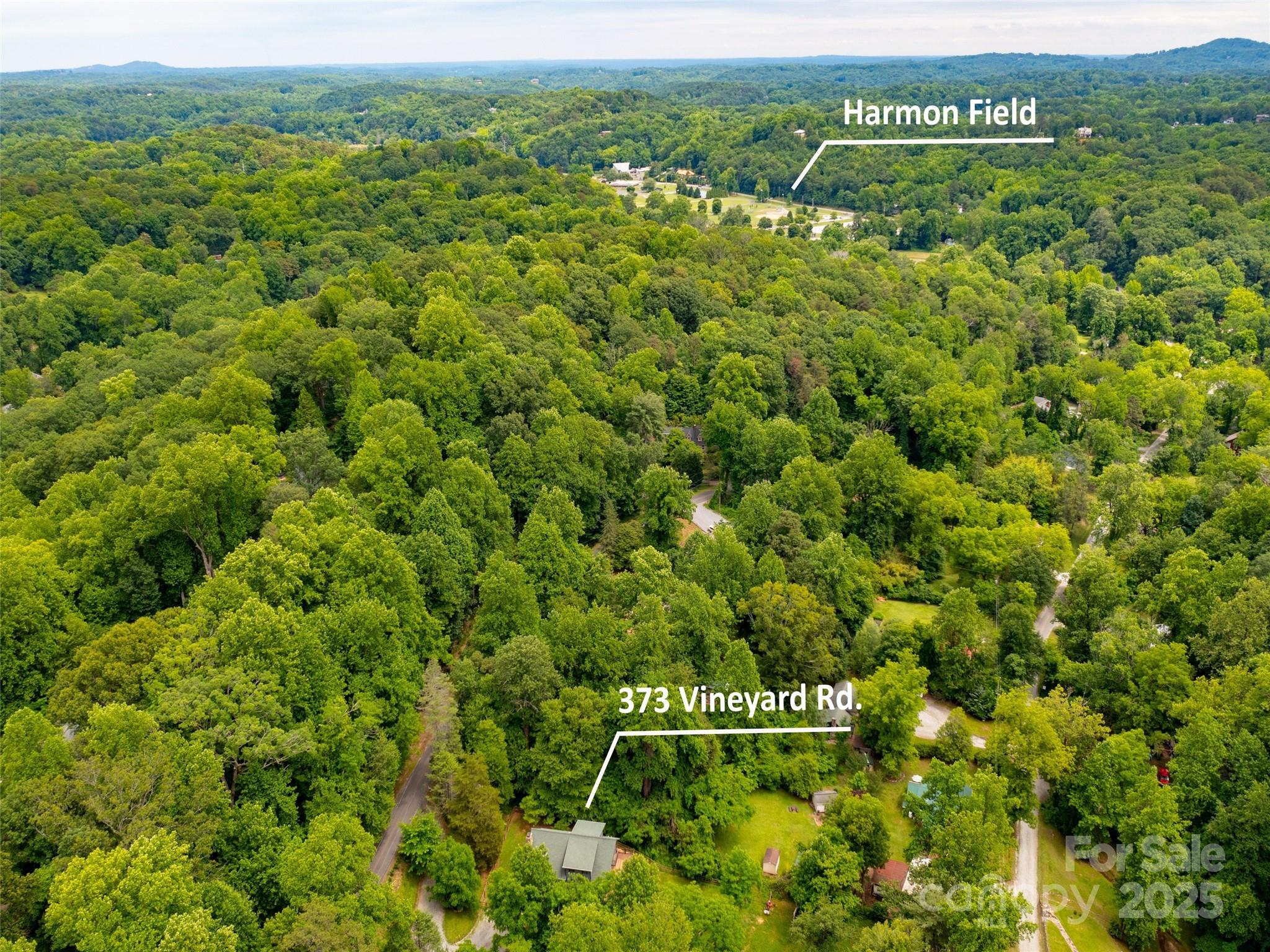 373 Vineyard Road Tryon, NC 28782 - Photo 43 of 46 a view of a green field