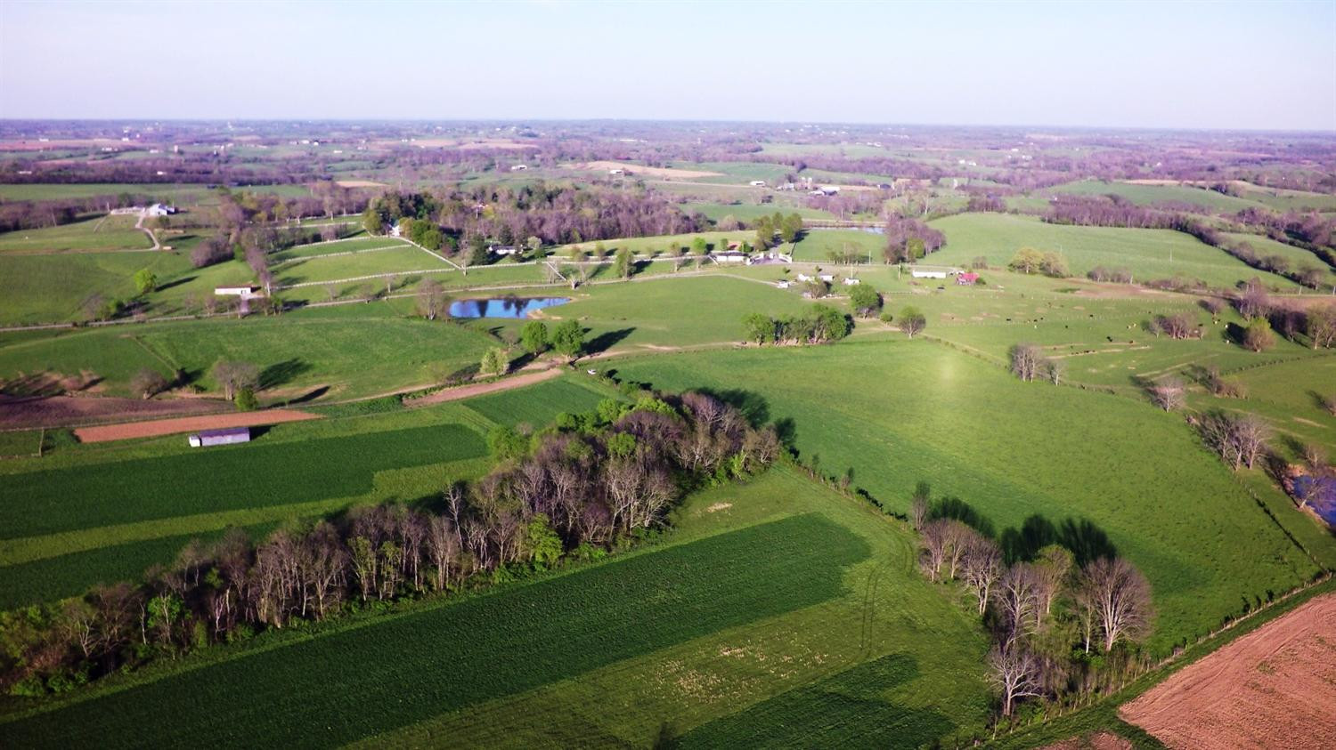 877 Blacks Cross Road Paris, KY 40361 - Photo 5 of 13 Photo 5