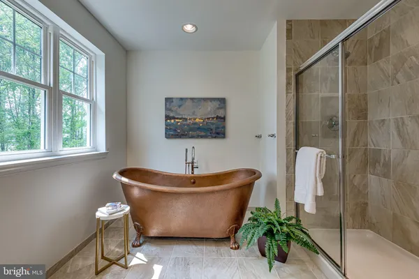 a room with a potted plant and a bathtub