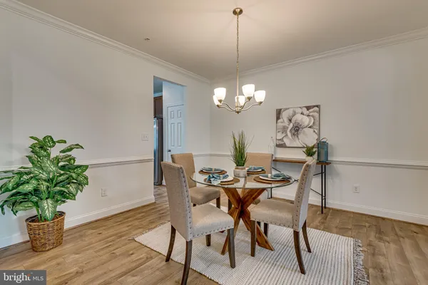 a dining room with furniture potted plants and wooden floor
