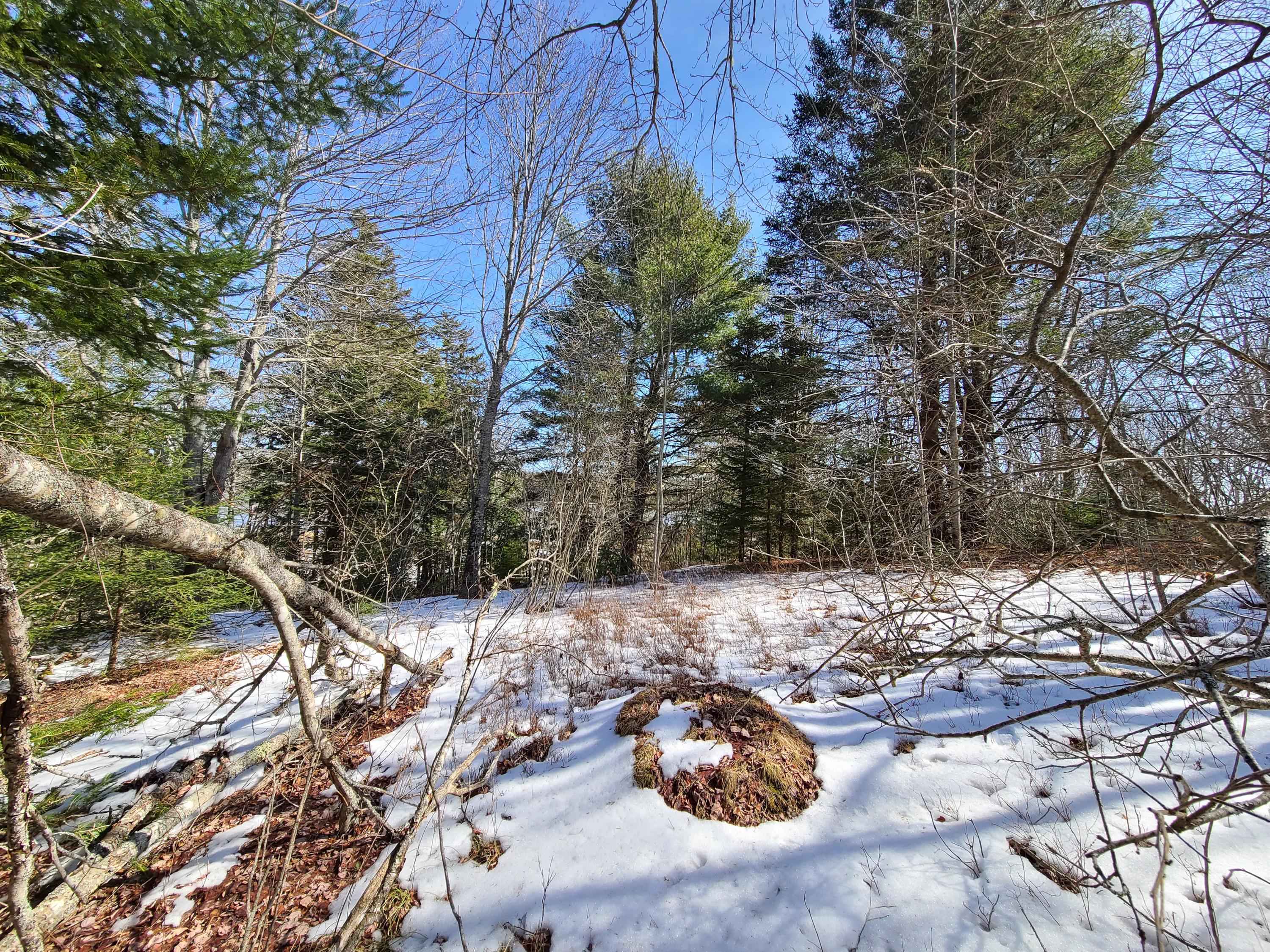 385 West Bay Road Gouldsboro, ME 04607 - Photo 19 of 22 Interior of Lot