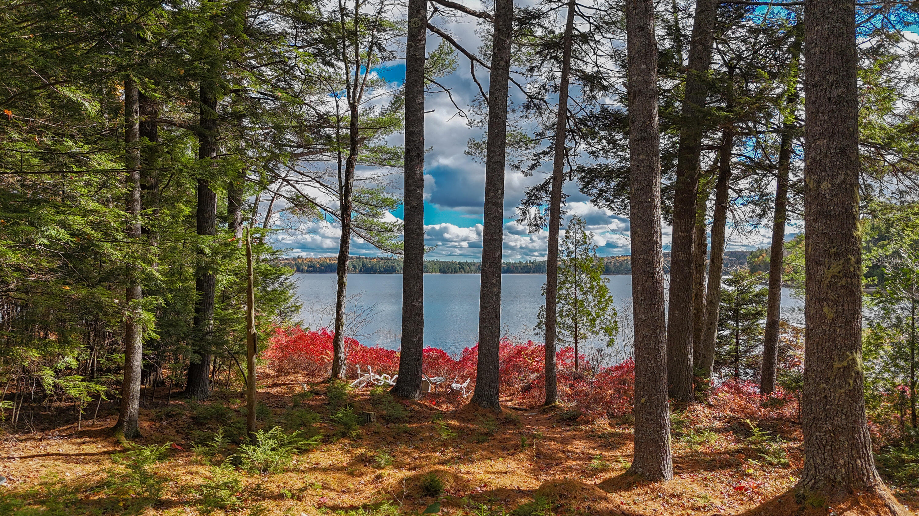 25 Point Road Hancock, ME 04640 - Photo 37 of 58 DJI_20251024131055_0298_D