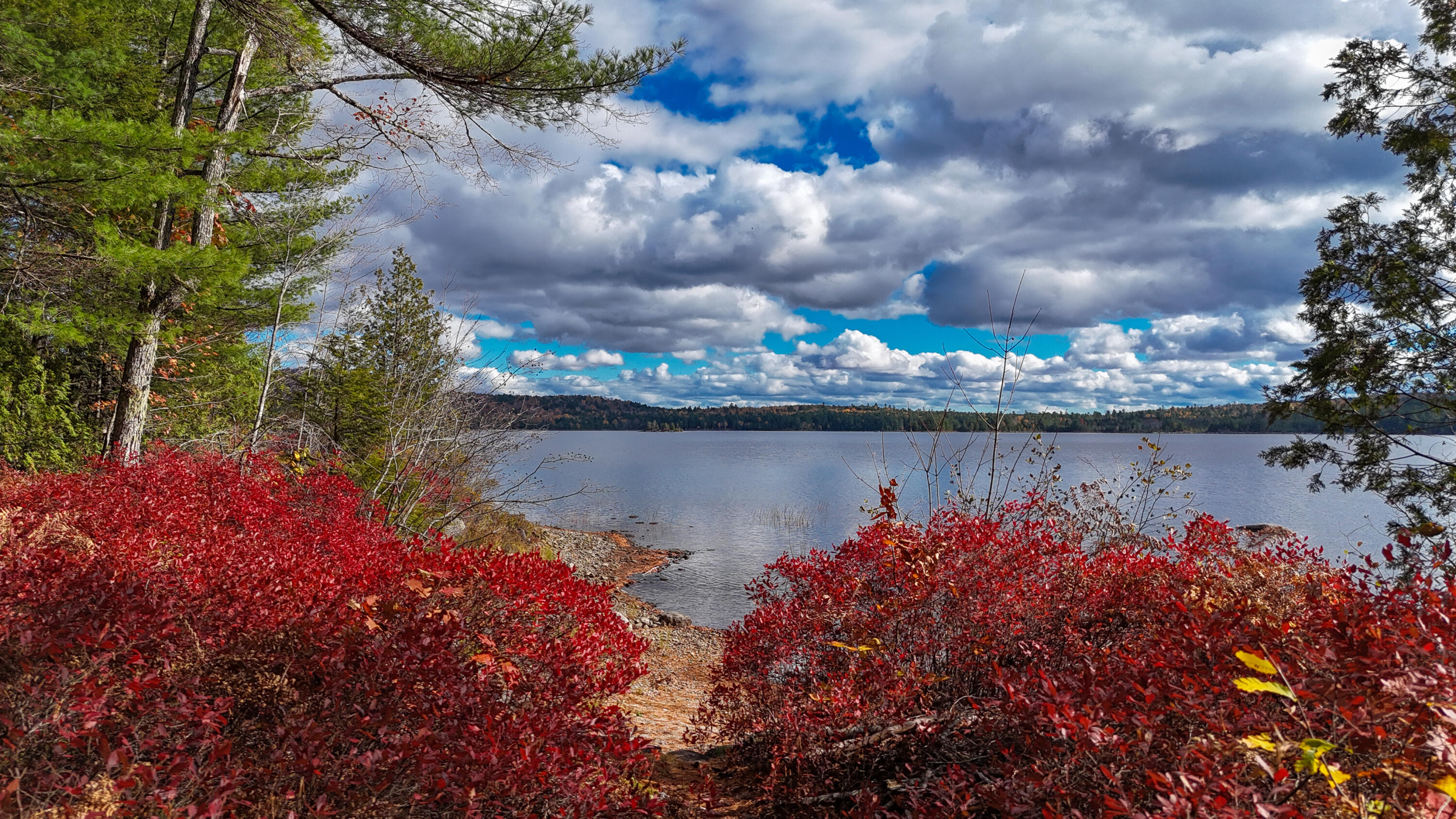 25 Point Road Hancock, ME 04640 - Photo 5 of 58 DJI_20251024131217_0302_D