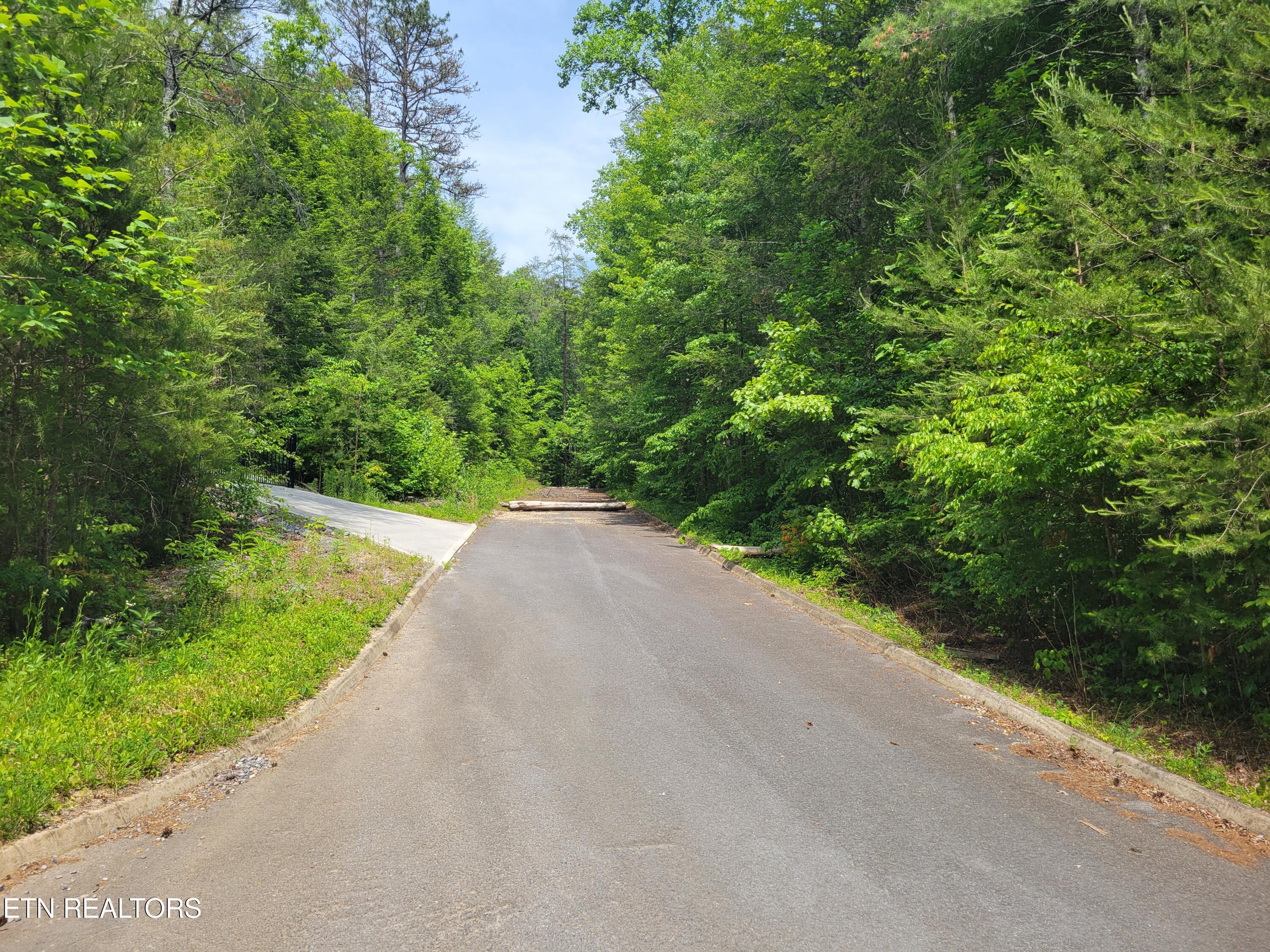 Lot 14 Peace Lane Cosby, TN 37722 - Photo 4 of 8 20260519_150706
