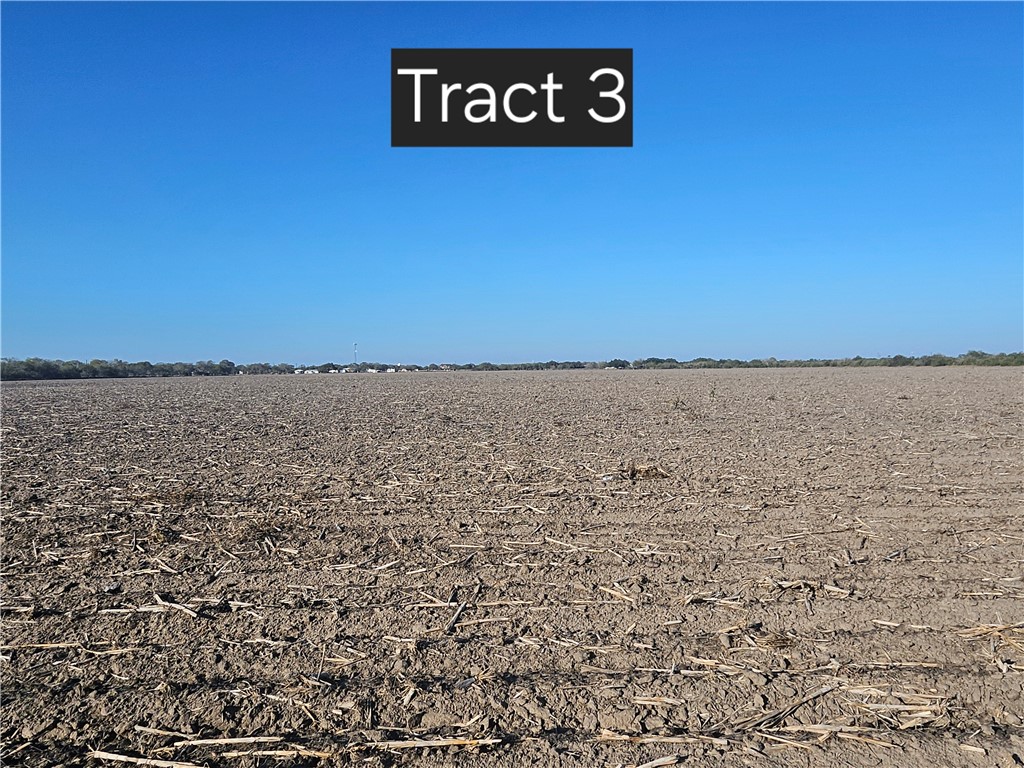 3 West Escondido Road Kingsville, TX 78363 - Photo 1 of 6