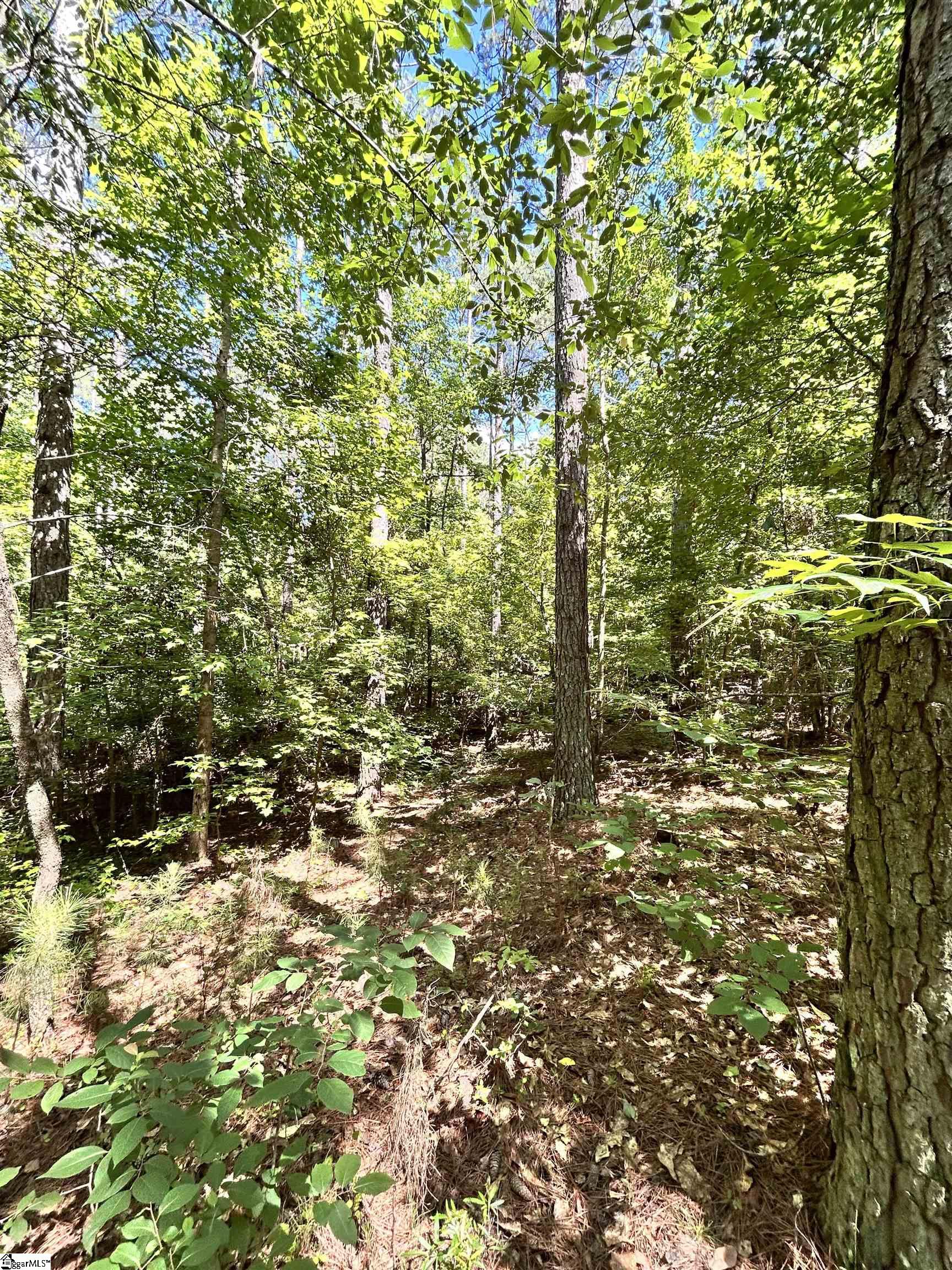 12 Sc - 413 Highway Anderson, SC 29621 - Photo 4 of 13
