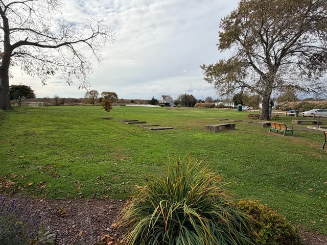 a view of a field with large trees