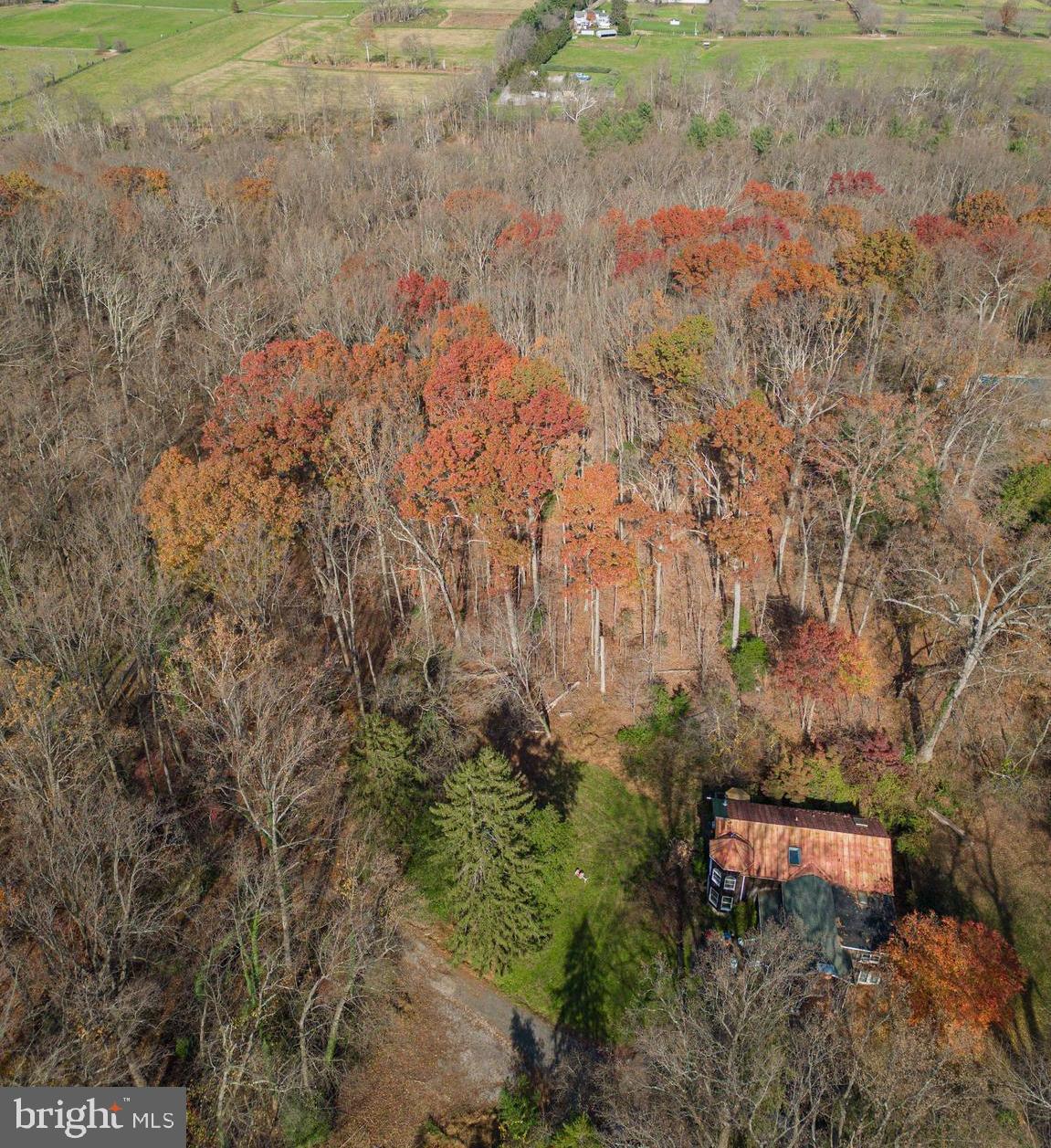 Hillside Lutherville-Timonium, MD 21093 - Photo 1 of 12 a view of a yard with a tree
