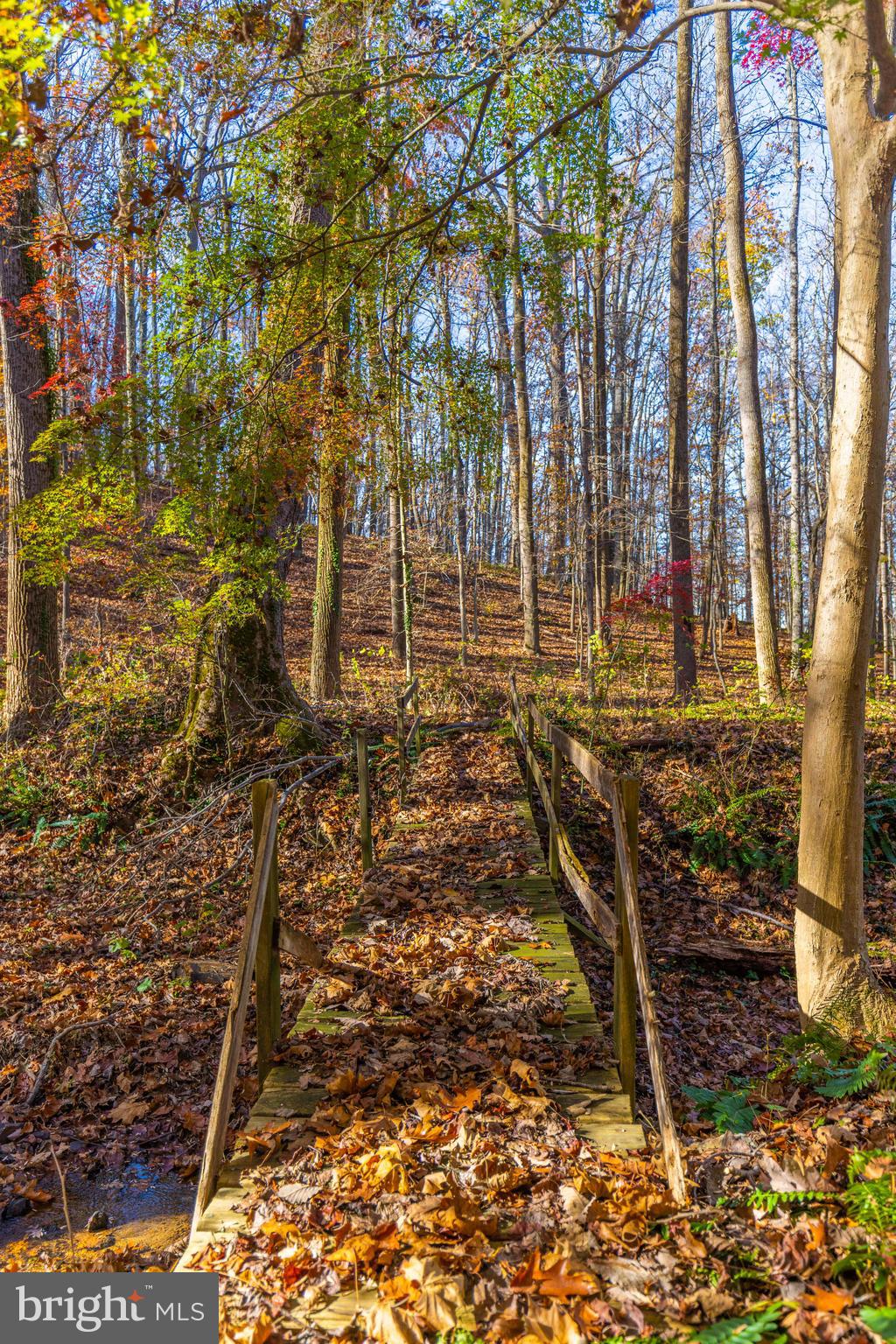 Hillside Lutherville-Timonium, MD 21093 - Photo 3 of 10 a view of a yard with plants and trees