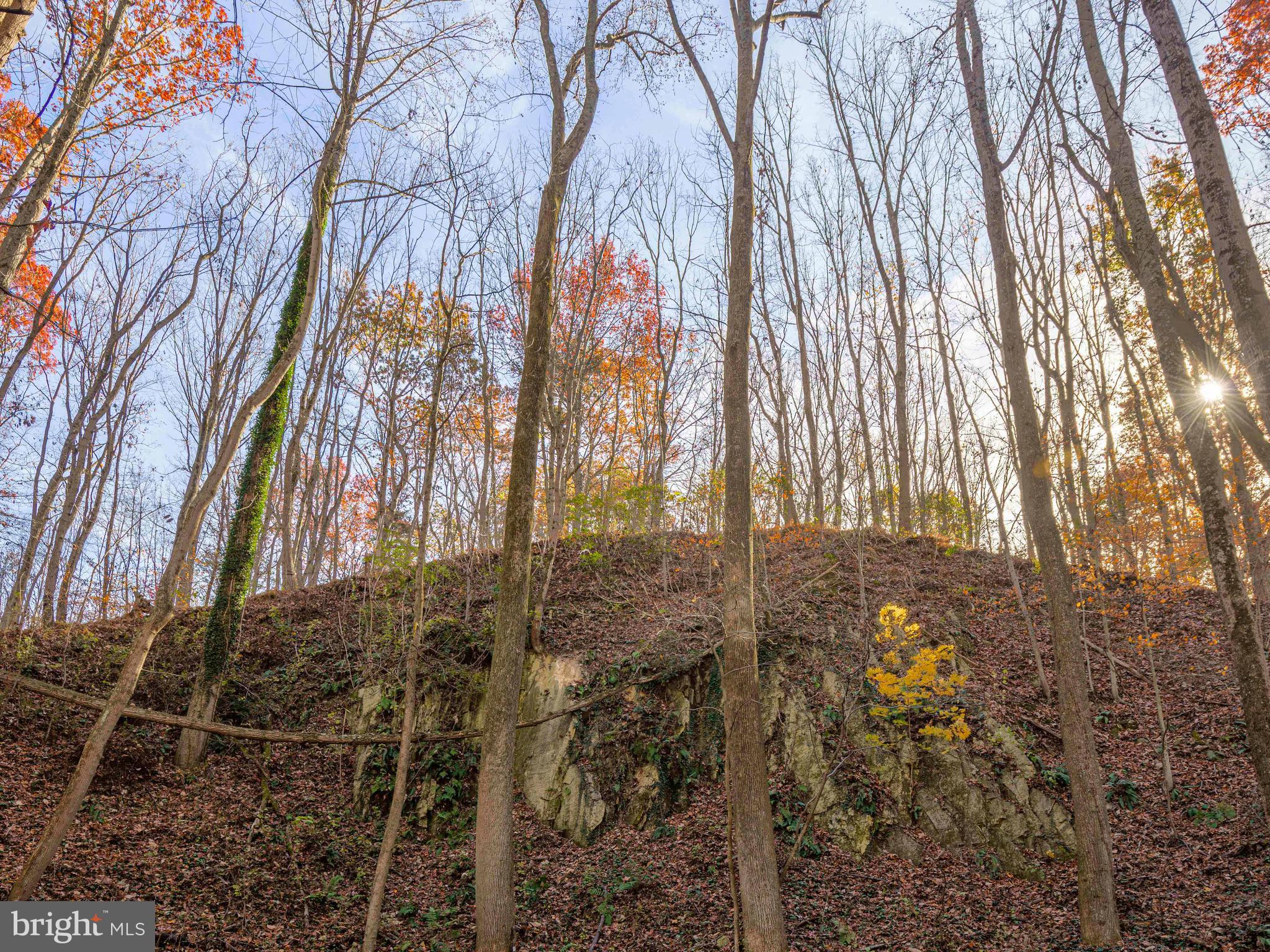 Hillside Lutherville-Timonium, MD 21093 - Photo 9 of 10 a view of a yard
