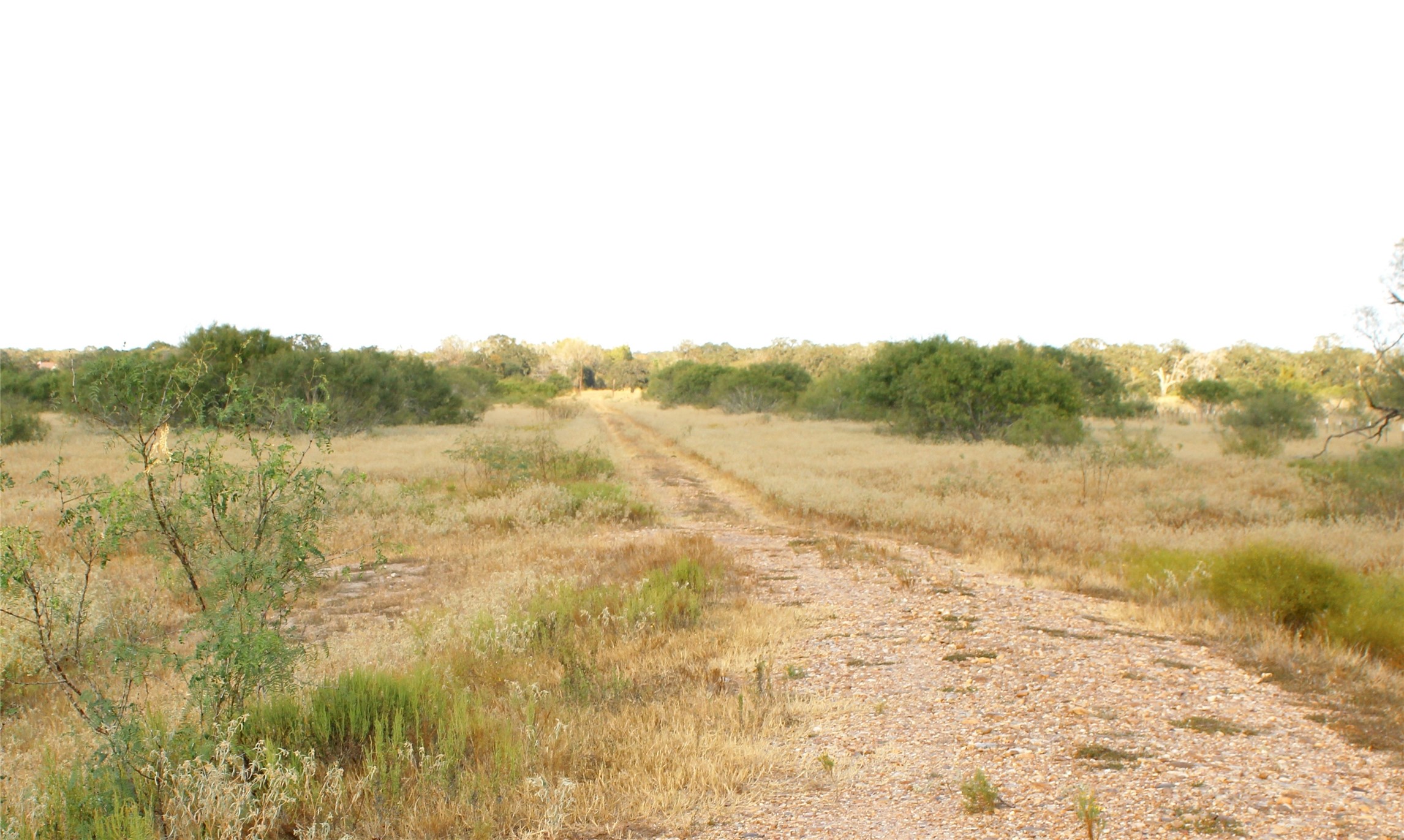 2 Lobo Lane Columbus, TX 78934 - Photo 2 of 5 a view of mountain with lake view