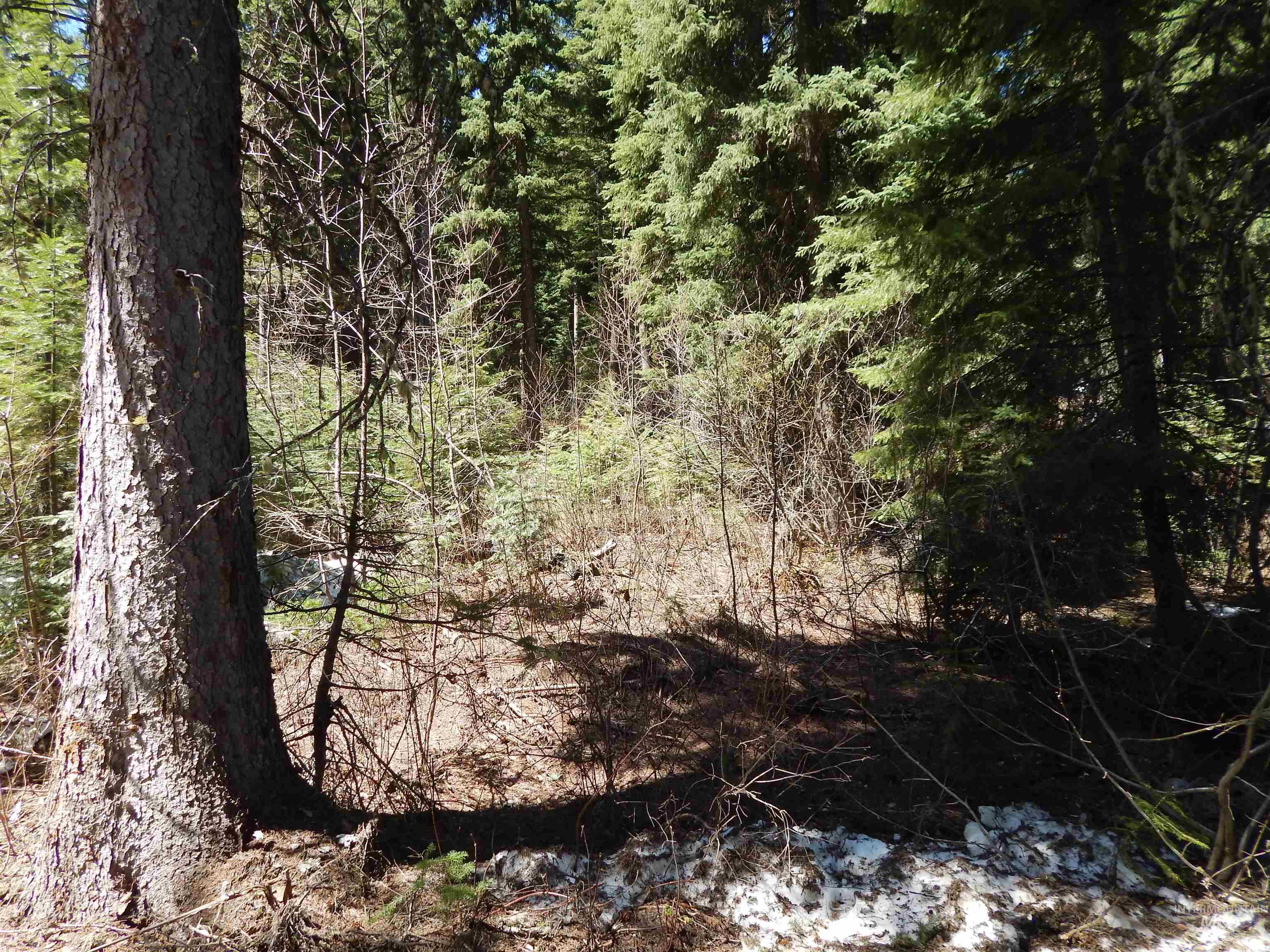 1601 Bear Trail Loop Cascade, ID 83611 - Photo 20 of 26