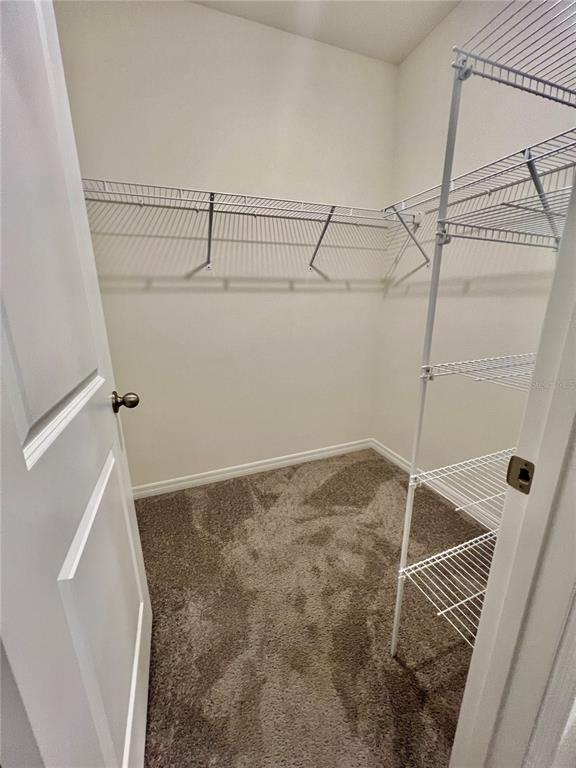 32557 Turtle Grace Loop Wesley Chapel, FL 33545 - Photo 13 of 35