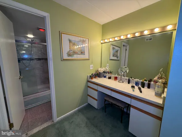 a bathroom with a double vanity sink a mirror and a shower
