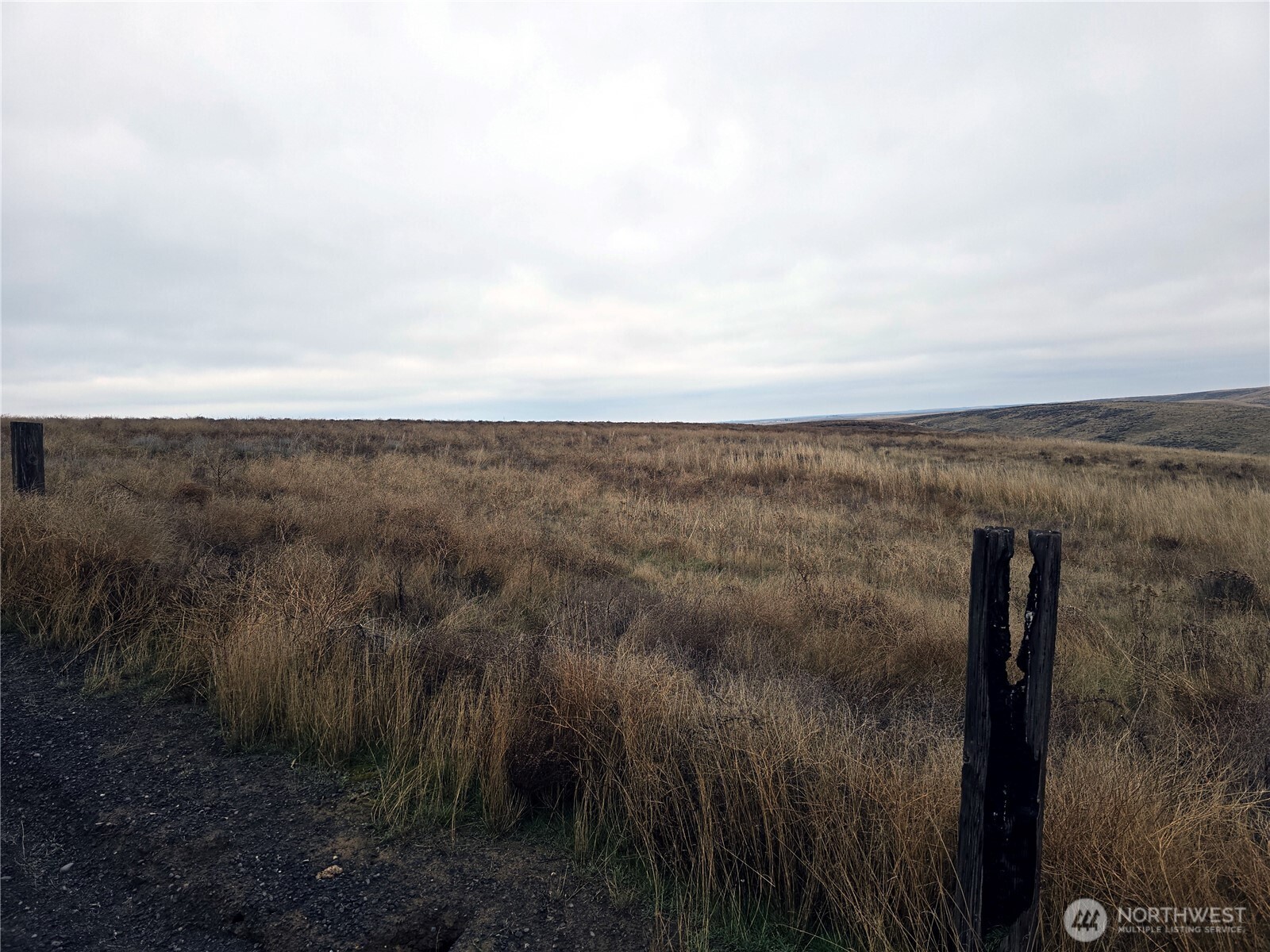 4200 Wadsworth Road Washtucna, WA 99371 - Photo 19 of 28