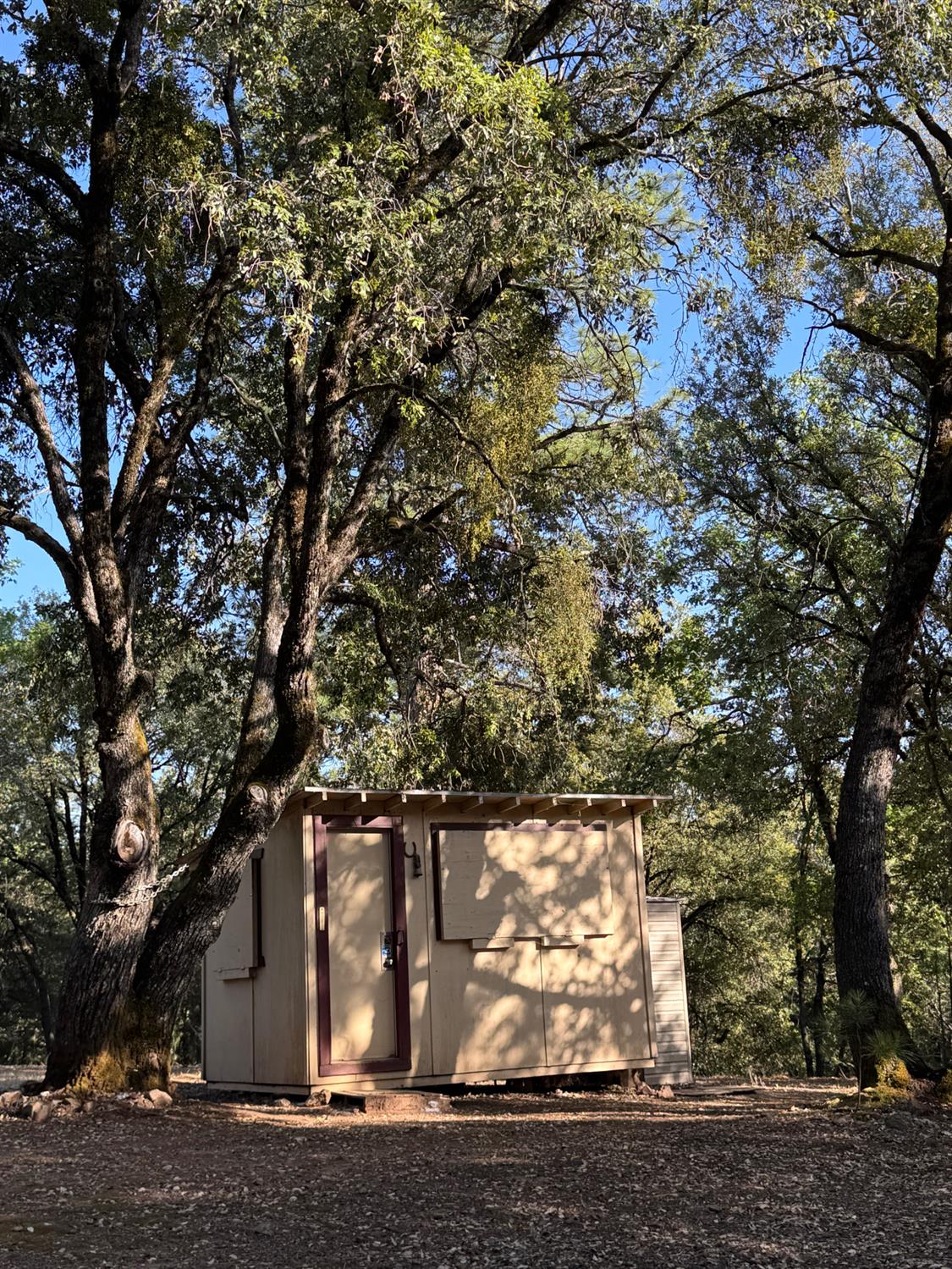 14577 Andrews Road Pine Grove, CA 95665 - Photo 12 of 37 a view of outdoor space with garden