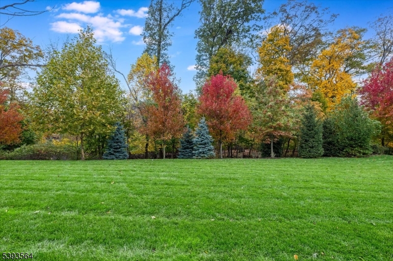 205 Mariners Pointe Hopatcong, NJ 07843 - Photo 24 of 31 a view of a grassy field with trees in the background