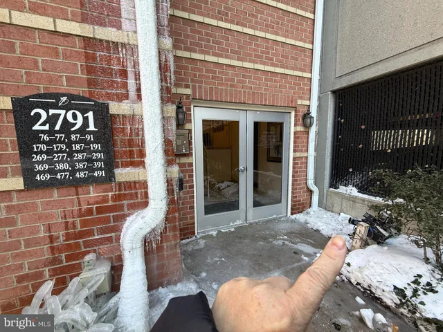 a view of a swimming pool with potted plants