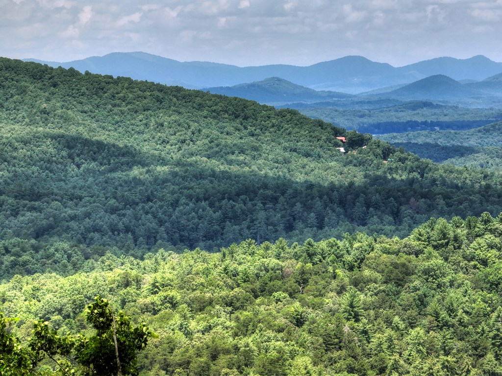 470 Northwest Skylight Drive Blue Ridge, GA 30513 - Photo 16 of 20