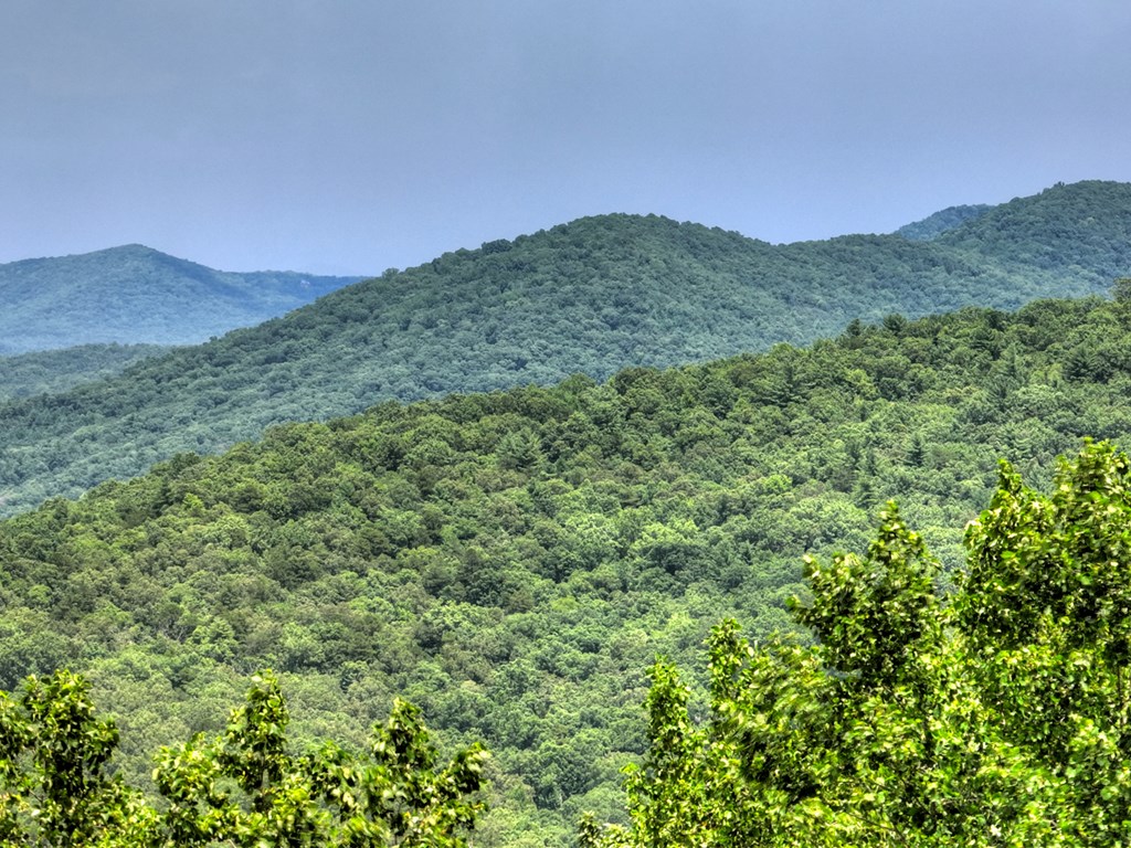 470 Northwest Skylight Drive Blue Ridge, GA 30513 - Photo 5 of 20