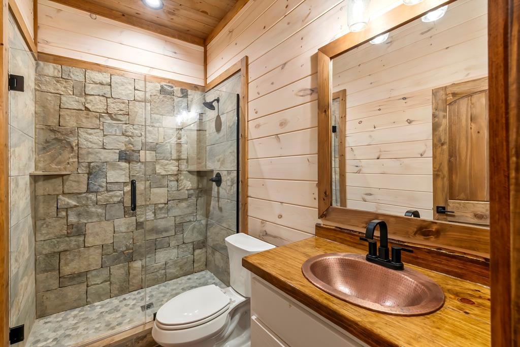470 Skylight Drive Blue Ridge, GA 30513 - Photo 59 of 83 a bathroom with a sink a toilet and shower