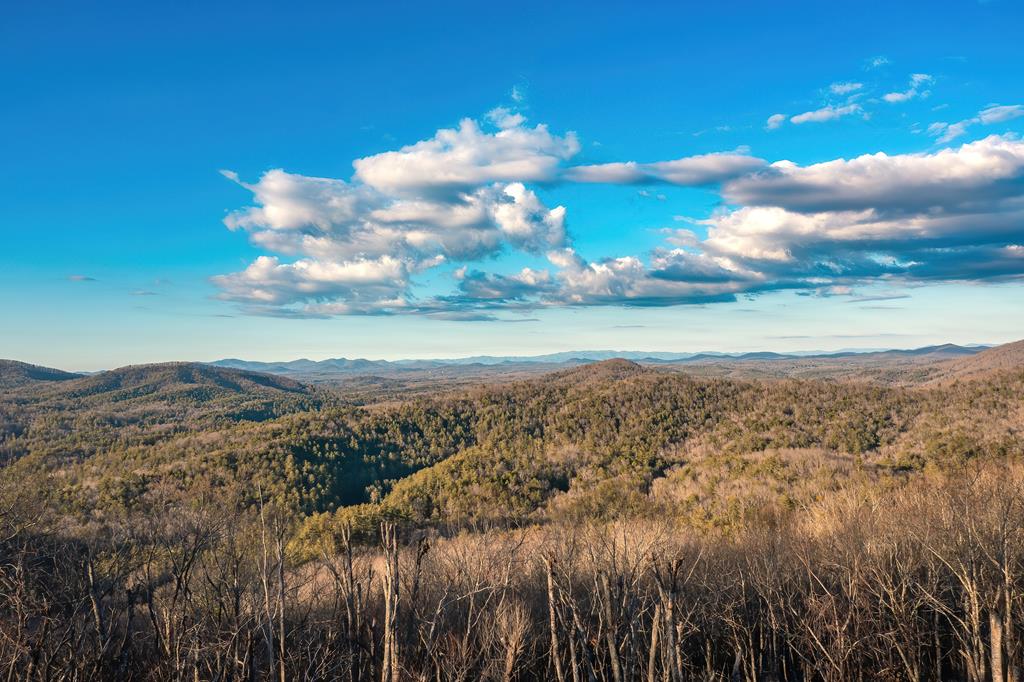 470 Skylight Drive Blue Ridge, GA 30513 - Photo 82 of 83