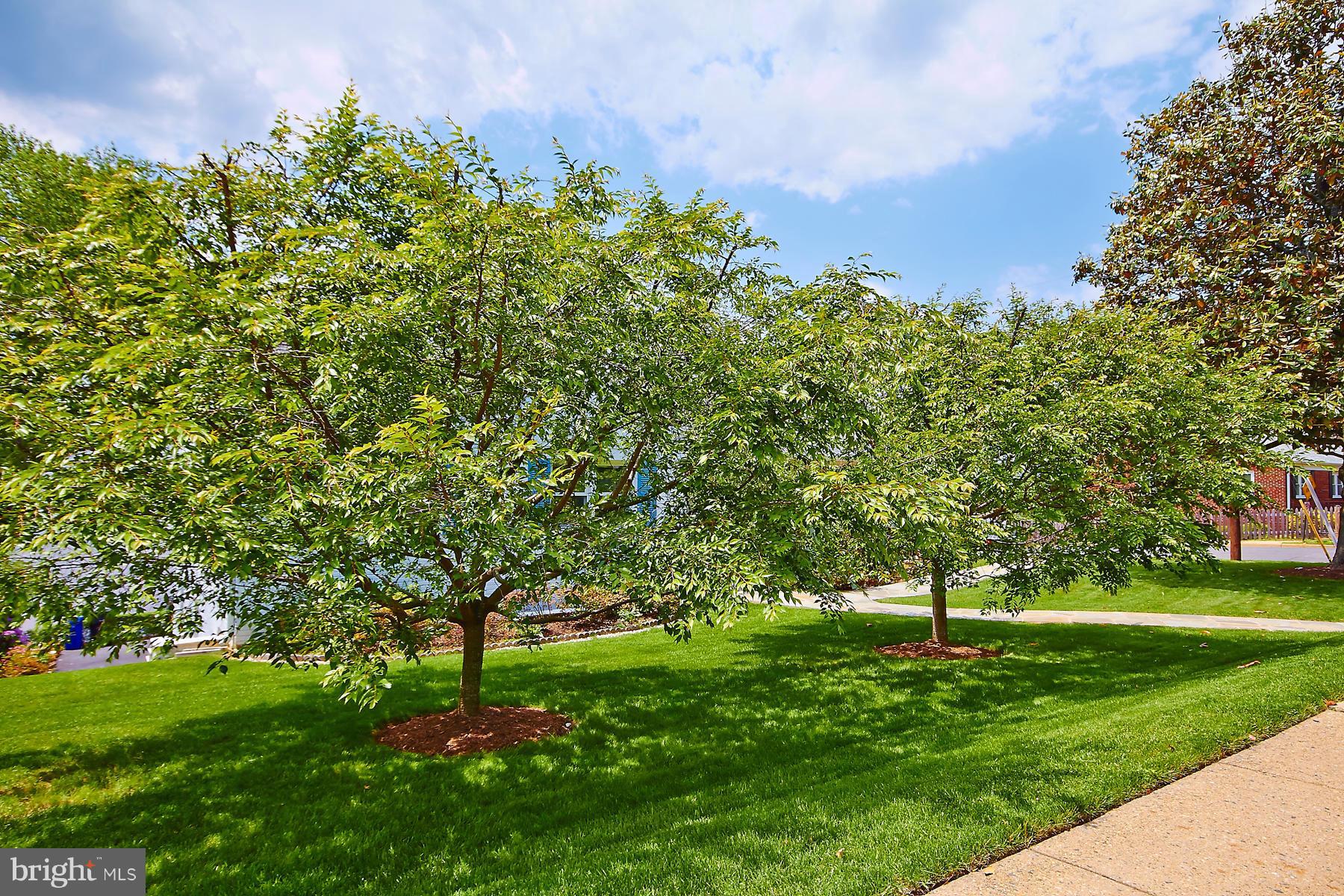 3224 North Glebe Road Arlington, VA 22207 - Photo 30 of 30 Exterior (General)