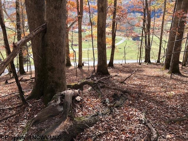 Tbd Holly Meadows Road Parsons, WV 26287 - Photo 17 of 21 Gallery Image 17